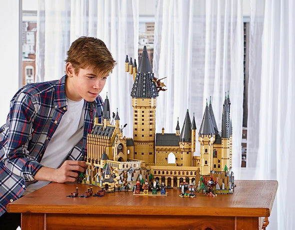 6020pcs Harry Potter Hogwarts Castle 98000 S7306 71043 70068 EU